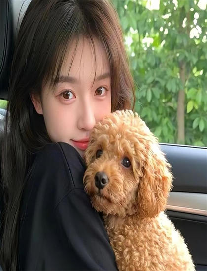 《吧女斯特拉》故事脉络梳理：主线与支线情节完整解读